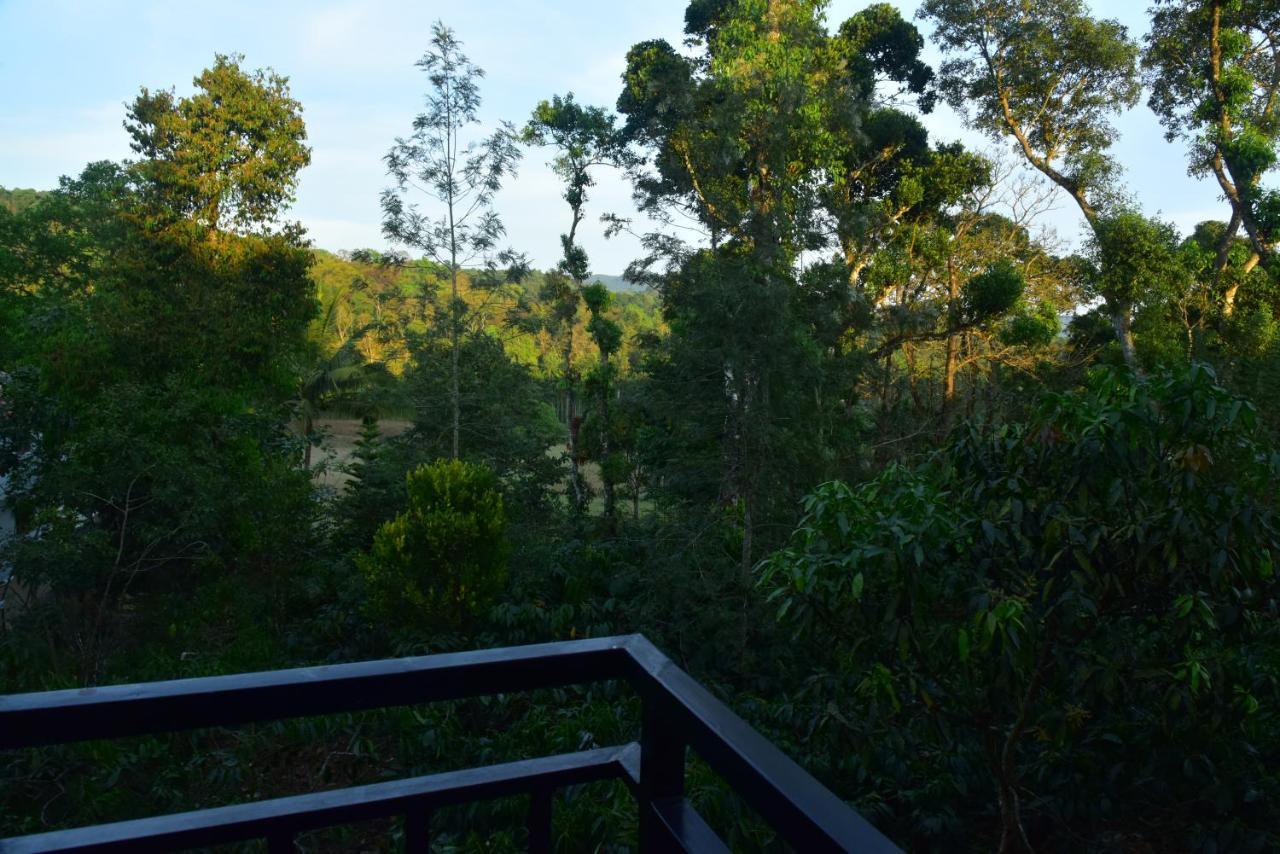 Villa Grand Misty Heaven Madikeri Exterior foto